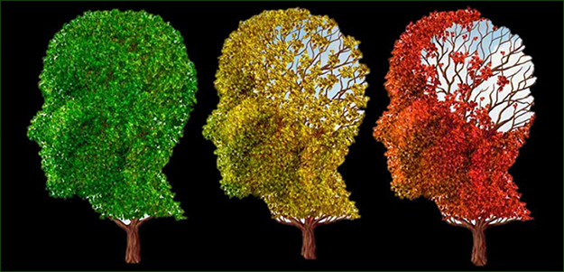 Illustration of leaves on trees shaped as human heads changing colors to indicate aging