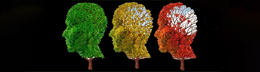 [Science of aging illustrated by trees shaped as human heads changing colors and losing leaves]