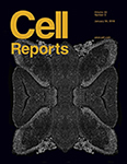 Cell Reports journal cover for January 2018