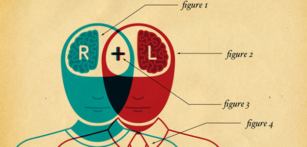 Right brain, left brain collaborating - illustration