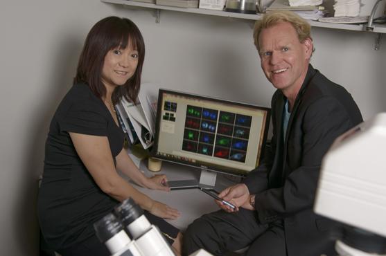 [Dr. Donna Zhang and Dr. Georg Wondrak collaborate on several projects.]