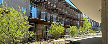 [The Andrew Weil Center for Integrative Medicine complex of buildings combines natural surroundings of the desert complimented by the built environment to enhance wellbeing.]