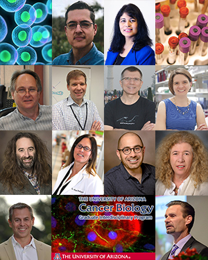 Teaser image of speakers in the Spring 2019 Cancer Biology (CBIO) Seminar Series at University of Arizona