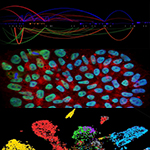 Illustration of cellular and molecular studies in medicine