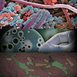 Illustration of cellular and molecular studies in medicine