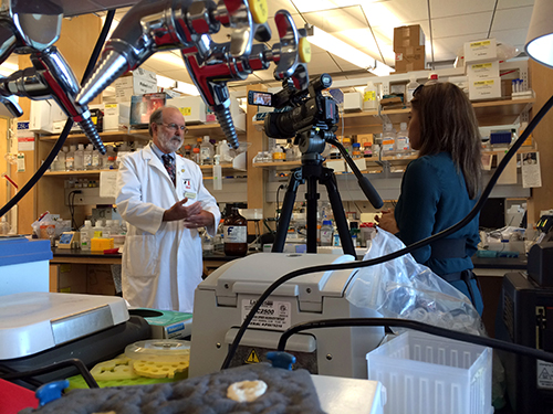 John N. Galgiani, MD, in interview in his lab
