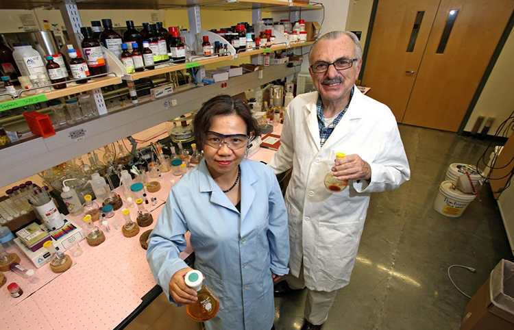 Drs. Minying Cai and Victor Hruby in their lab at the UA BIO5 Institute (Photo: Arizona Daily Star - used by permission)