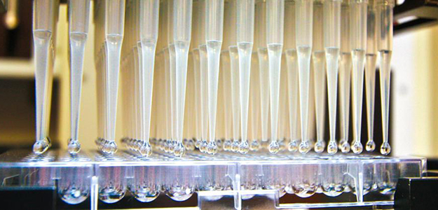Pipetting in the Functional Genomics Core lab at the UA BIO5 Institute