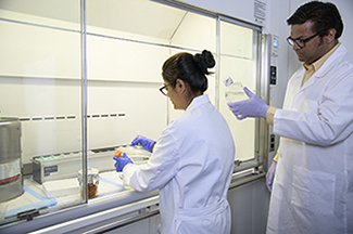 Reena Chawla, PhD, and Gajanan Inamdar, PhD, process compound samples in the Hecker Lab. (Photo: Kris Hanning/UAHS Biocommunications)