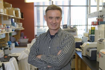 [Portrait of immunologist Janko Nikolich, MD, PhD, in his research lab at the University of Arizona Health Sciences]