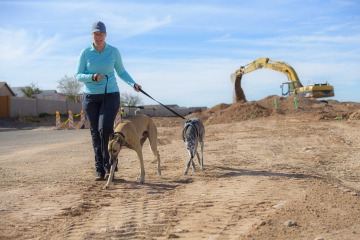 [A woman walking two dogs near a construction site]