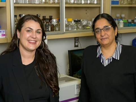 [Kelsey Bernard, PhD, and Lalitha Madhavan, MD, PhD, are among U of A College of Medicine – Tucson co-authors of a paper in Experimental Neurology showing that, in an animal model, the protein PNA5 appears to have a protective effect on brain cells. The discovery could help Parkinson's patients.]