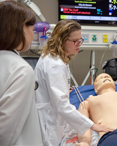 Teaser image of Dr. Laura Meinke working with students in the ASTEC sim lab at the UA College of Medicine - Tucson