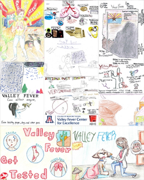 Teaser image for story on 2018 Valley Fever Awareness Poster Contest winners announced by Arizona Department of Health Services