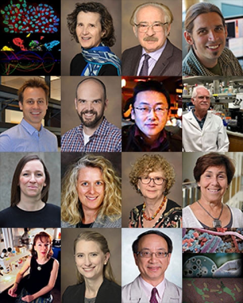 Teaser image of speakers for spring 2019 Weekly Colloquium on Problems in the Biology of Complex Diseases at University of Arizona