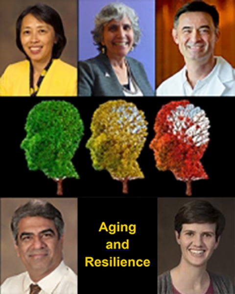 Teaser image Aging and Resilience/CHiiLi Program awards story