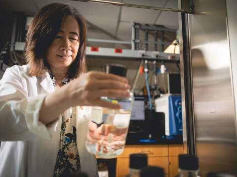 [Hsiao-Hui “Sherry” Chow, PhD, looks at a bottle containing a biospecimen. With a particular focus on breast cancer, Dr. Chow has spent more than two decades in cancer research at the U of A Cancer Center. In that time, she led the Cancer Prevention & Control Program for several years, beginning in 2015, and the Analytical Chemistry Shared Resource, since 2001. She plans to retire Oct. 31.]