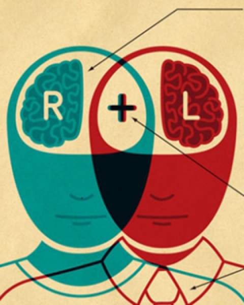 Right brain, left brain collaborating - illustration