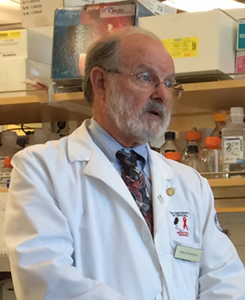 John Galgiani, MD, in lab
