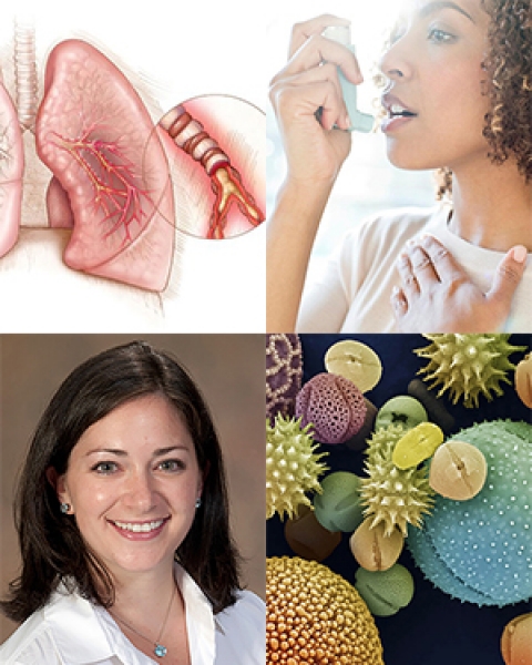 Allergy collage with Dr. Tara Carr