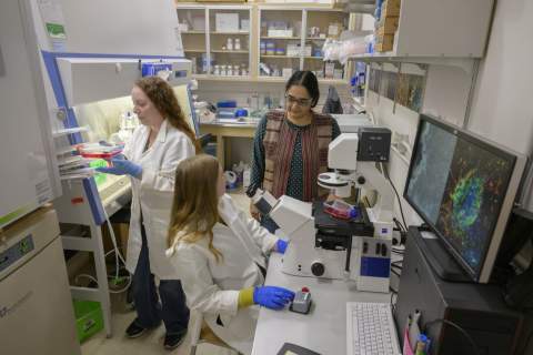 [Three women working in a University of Arizona Health Sciences research laboratory]