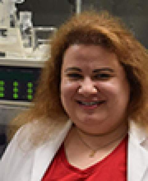 Heidi Mansour, PhD