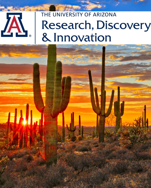 Teaser image of saguaro cactus at sunset with UA Research, Discovery & Innovation logo