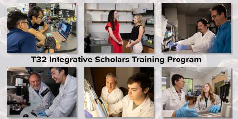 [Collage of six images of University of Arizona Cancer Center members working with graduate students on research projects, including the Department of Medicine's Jennifer Carew, PhD (top center in red dress)]