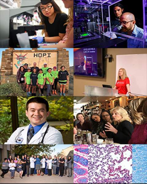 Collage of images from September 2018 issue of UACC Newsletter