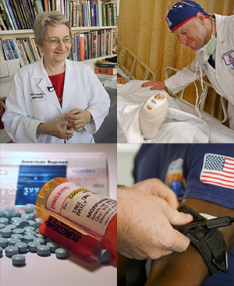 Collage of images from UANews health, science stories