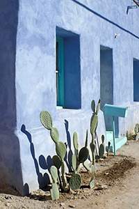 Photograph of characteristic Tucson residential architecture with cacti