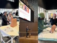 [Collage of three images from the University of Arizona Department of Medicine DEI Mixer held Nov. 4, 2024, at the UAHS Health Sciences Innovationg Building]