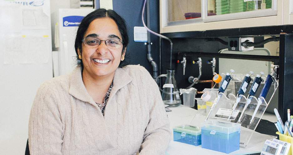 [Lalitha Madhavan, MD, PhD, in her lab at the University of Arizona College of Medicine – Tucson]