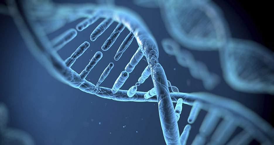 [Blue image illustrating double helix of genetic coding]