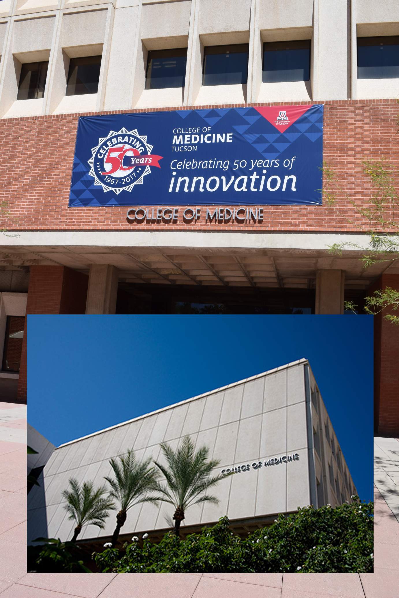 University of Arizona College of Medicine – Tucson