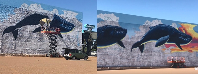 Joe Pagac works on 5,0000-square-foot mural at Grant and Campbell in Tucson for Banner University Medicine commissioned project. It’s the largest ever for a city of murals.