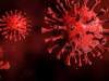 [3D illustration of a red coronavirus on a red background]