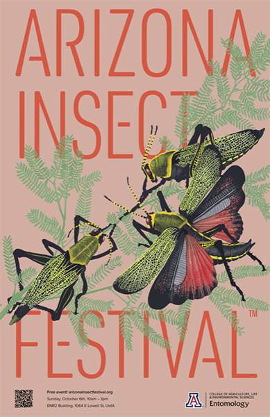 [Flyer for 12th Annual Arizona Insect Festival at U of A's ENR2 Building, Oct. 6, 2024]