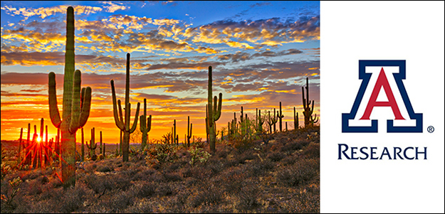Teaser image of saguaro cactus at sunset with University of Arizona Research logo